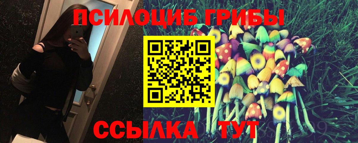 Псилоцибиновые грибы Psilocybe Екатеринбург