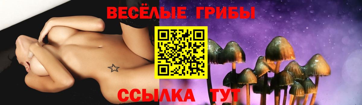 Галлюциногенные грибы Psilocybine cubensis  Псилоцибиновые грибы MAGIC MUSHROOMS  Вход с VPN  Екатеринбург 